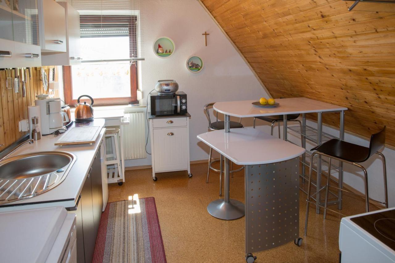 Apartment Welcome 阿勒斯贝格 外观 照片